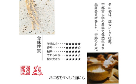 令和7年 新潟県上越市産 ゆうだい21 5kg 5キロ 奇跡のお米 宇都宮大学生まれ 中郷 やまざきふぁーむ 送料無料