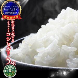 令和7年産 新潟県産 コシヒカリ 5kg 最高品質のお米を追求し続ける 篠宮農場 精米 上越市