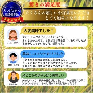 令和7年産 新潟県産 コシヒカリ 5kg 最高品質のお米を追求し続ける 篠宮農場 精米 上越市