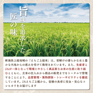 米 定期便 3ヶ月 コシヒカリ えちご上越米 10kg 令和7年産 お米 新米 白米 定期 3回