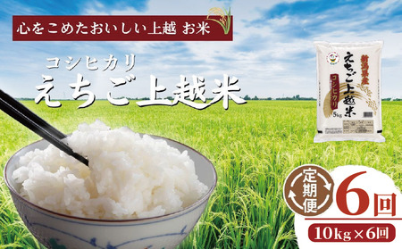 米 定期便 6ヶ月 コシヒカリ えちご上越米 10kg 令和7年産 お米 新米 白米 定期 6回