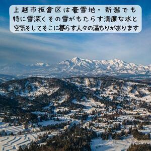 いたくらいいとこてぬぐい（黄色）手ぬぐい お土産 上越市 雑貨 タオル