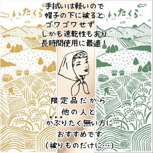 いたくらいいとこてぬぐい（2本セット）手ぬぐい お土産 上越市 雑貨 タオル