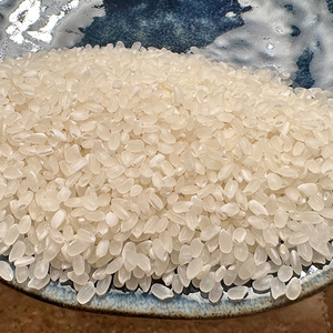 令和7年 新潟県上越市産 従来 コシヒカリ 精米済27kg こしひかり お米 米 精米 送料無料