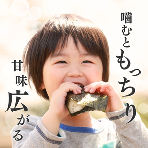 令和7年産 新潟県上越産こしひかり 精米 5kg 上越市 米 コメ コシヒカリ
