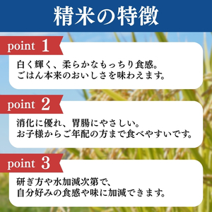 令和7年産 新潟県上越産こしひかり 精米 5kg 上越市 米 コメ コシヒカリ