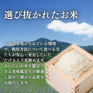 令和7年産 新潟県上越産こしひかり 精米 5kg 3か月定期便 上越市 米 コメ コシヒカリ