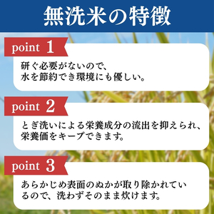 令和7年産 食味鑑定士厳選 新潟県産こしひかり 無洗米 5kg 上越市 米 コメ コシヒカリ