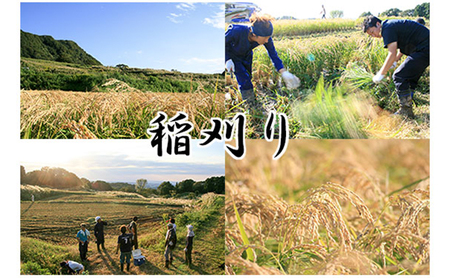 日本酒 久比岐和希水　純米大吟醸　720ml　化粧箱入 お酒 新潟 上越