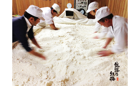 日本酒 越路乃紅梅　純米吟醸　720ml お酒 新潟 上越