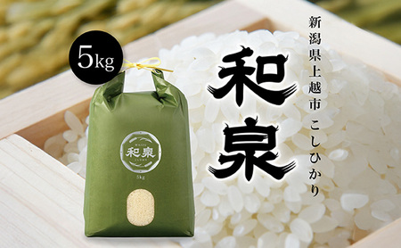 令和7年 新潟県上越産 こしひかり『和泉』5kg 5キロ 上越市 精米 米 ギフト 喜ばれる