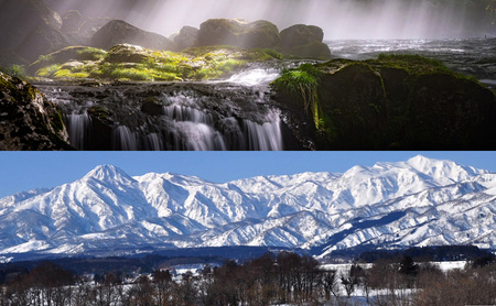 令和7年 新潟県上越産 こしひかり『和泉』5kg 5キロ 上越市 精米 米 ギフト 喜ばれる