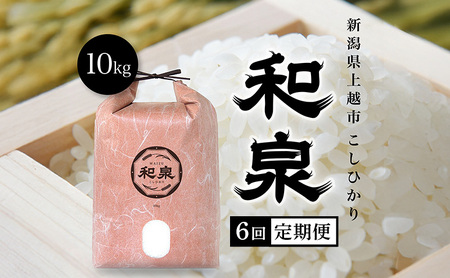 米 定期便 6ヶ月 こしひかり 和泉 10kg 令和7年産 お米 新米 白米 精米 定期 6回