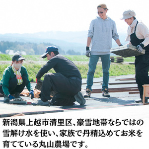 令和7年 新潟県産 特別栽培米 新之助 5kg 5キロ上越市清里区 新潟 精米 従来品種 希少 限定 送料無料