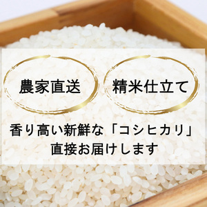 令和7年 新潟県産 特別栽培米 新之助 5kg 5キロ上越市清里区 新潟 精米 従来品種 希少 限定 送料無料