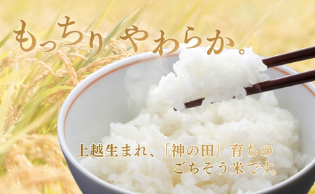 令和7年 新潟県産コシヒカリ 特別栽培米 5kg 5キロ 上越市 三和区神田 富永農産 有機肥料、自家製たい肥を使用し米つくり 送料無料