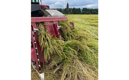令和7年 新潟県産コシヒカリ 特別栽培米 5kg 5キロ 上越市 三和区神田 富永農産 有機肥料、自家製たい肥を使用し米つくり 送料無料
