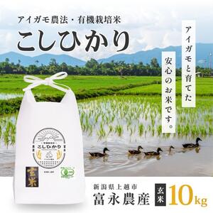 令和7年 新潟県産コシヒカリ アイガモ農法 玄米 10kg 10キロ（5kg×2） JAS有機栽培米 上越市 三和区神田 富永農産 送料無料 安全・安心こしひかり