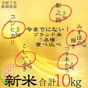 令和7年 新潟県産米5品種食べ比べセット 10kg（2kg×5種類） 食べ比べブランド米はコシヒカリ 新之助 こしいぶき つきあかり みずほの輝き 白米 精米 送料無料 上越市 米ヴィレッジさんわ