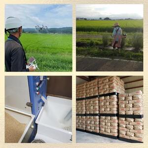 令和7年 新潟県産こしいぶき 5kg 5キロ 白米 精米 送料無料 上越市 米ヴィレッジさんわ 低温貯蔵 品質管理徹底