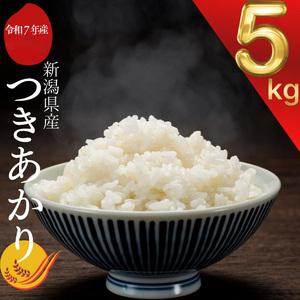 令和7年 新潟県産つきあかり 5kg 5キロ 白米 精米 送料無料 上越市 米ヴィレッジさんわ 低温貯蔵 品質管理徹底
