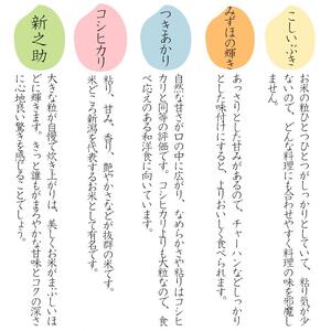 令和7年 新潟県産つきあかり 5kg 5キロ 白米 精米 送料無料 上越市 米ヴィレッジさんわ 低温貯蔵 品質管理徹底