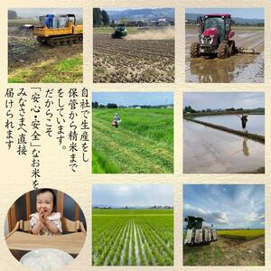 令和7年 新潟県産新之助 5kg 5キロ 白米 精米 送料無料 上越市 米ヴィレッジさんわ 低温貯蔵 品質管理徹底