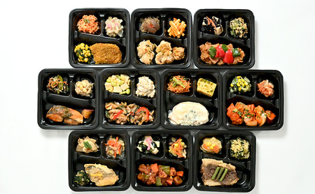 【ランダム10種】いろどりおかずプレートと新潟県産冷凍ごはんセット 健康調理 簡単 非常食 にも