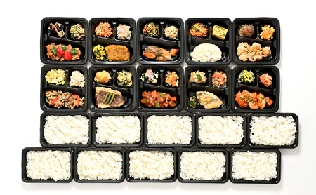 【ランダム10種】いろどりおかずプレートと新潟県産冷凍ごはんセット 健康調理 簡単 非常食 にも