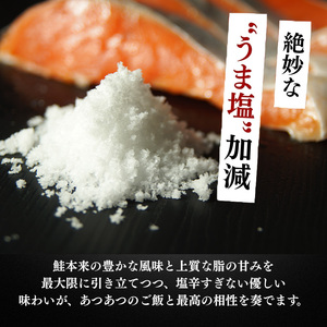 極厚 甘塩 銀鮭 切身 8切（約1kg）新潟県 上越市 創業52年しみず屋特製 ふっくら