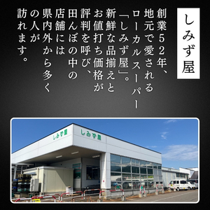 極厚 甘塩 銀鮭 切身 8切（約1kg）新潟県 上越市 創業52年しみず屋特製 ふっくら