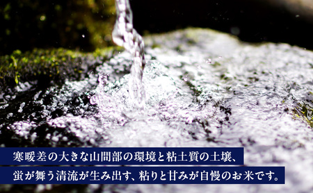 新米 令和7年産 5kg 5キロ 新潟県 上越市産 つきあかり おおしま育ち 精米 お米 お取り寄せ 11月上旬より出荷開始