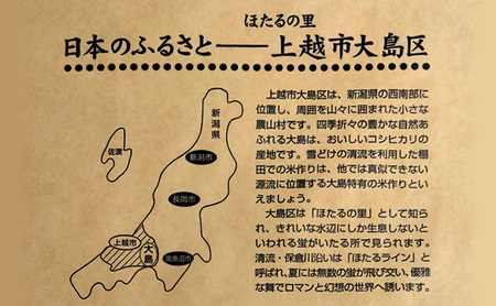 新米 令和7年産 5kg 5キロ 新潟県 上越市産 つきあかり おおしま育ち 精米 お米 お取り寄せ 11月上旬より出荷開始