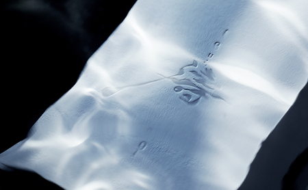 【限定醸造】日本海の荒波が育んだ 海底熟成日本酒「濤〈TOU〉 02」(720ml)お酒 15度 希少品 限定 新潟 上越 ギフト 贈答 化粧箱入り 送料無料 シリアルあり 【チタン製おちょこ付】