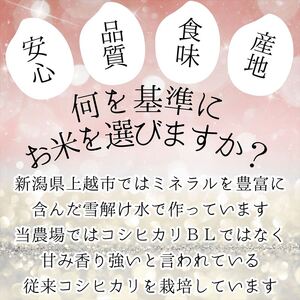 【定期便 | 3回配送】新米 令和7年産 新潟県 上越市産 コシヒカリ 5kg×3回 5キロ 精米 10月下旬より順次出荷 3ヶ月 米 お米 白米 お楽しみ