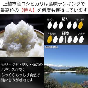 新米 令和7年 新潟県産 コシヒカリ 5kg 5キロ 上越市 清里産 星の里米 TY GREEN 白米 精米 送料無料 2025年10月上旬より順次発送