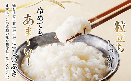 【未来の農業家を応援】高田農業高校の生徒が育てた「高農米」 令和7年産 特別栽培米 こしいぶき 5kg 5キロ 新潟県産 上越市