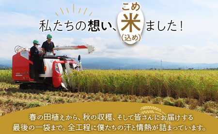 【未来の農業家を応援】高田農業高校の生徒が育てた「高農米」 令和7年産 特別栽培米 こしいぶき 5kg 5キロ 新潟県産 上越市