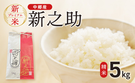 新米 令和7年 新潟県 上越市産 新之助 5kg やまざきふぁーむ 送料無料　精米 5キロ お米 コメ 白米 上越市 中郷区 中郷産