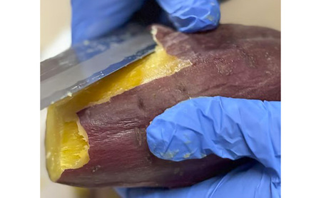 まるたき工房の干し芋【シルクスイート】600g　おいも スイーツ ほしいも さつまいも おやつ お菓子 和菓子 和スイーツ 新潟県産 国産