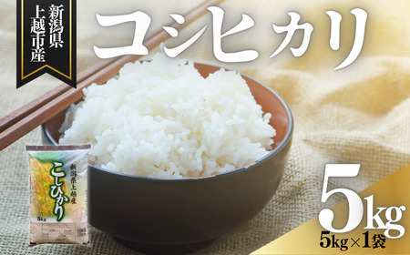 【3月上旬配送】上越市産 新潟 コシヒカリ 5kg こしひかり お米 精米 米 ご飯