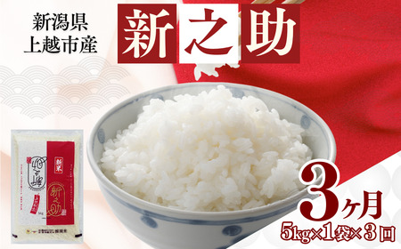 【6月中旬より配送】上越市産 新潟 新之助 5kg 3か月定期便 しんのすけ お米 精米 米 ご飯 定期