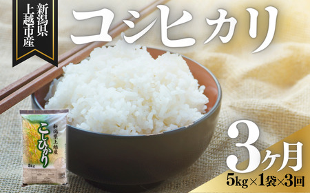 【7月上旬より配送】上越市産 新潟 コシヒカリ 5kg 3か月定期便 こしひかり お米 精米 米 ご飯 定期