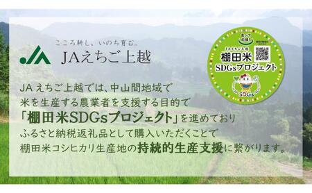 【2月上旬配送】令和7年産  えちご上越米 棚田米 コシヒカリ 5kg 5キロ 上越市 精米 米 コメ おすすめ