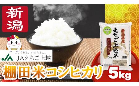 【6月上旬配送】令和7年産  えちご上越米 棚田米 コシヒカリ 5kg 5キロ 上越市 精米 米 コメ おすすめ 25,200円