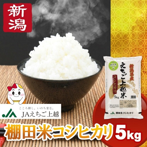 【6月中旬配送】令和7年産  えちご上越米 棚田米 コシヒカリ 5kg 5キロ 上越市 精米 米 コメ おすすめ