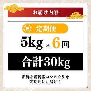 【先行予約】令和8年 新米 新潟上越産コシヒカリ 定期便 【6ヶ月連続お届け】5kg×6回 30kg 新潟 米 新潟県 こしひかり 限定 おすすめ
