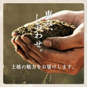 【先行予約】令和8年 新米 新潟上越産コシヒカリ 定期便 【6ヶ月連続お届け】5kg×6回 30kg 新潟 米 新潟県 こしひかり 限定 おすすめ