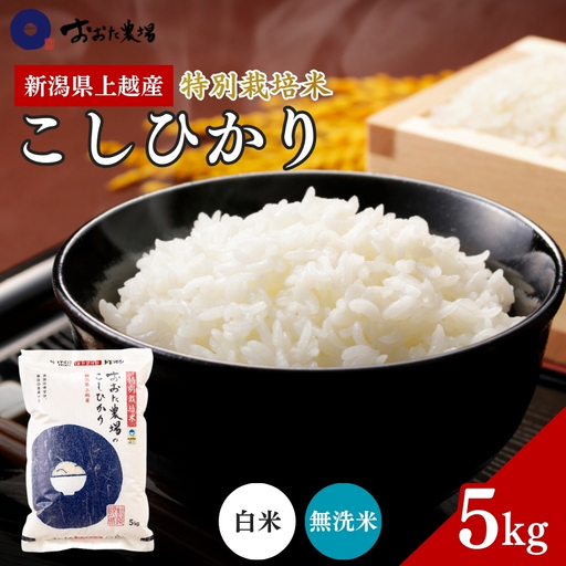 米 【令和7年産】 新潟県上越産 特別栽培米 コシヒカリ 【無洗米】 5kg 5キロ お米 こめ 白米 こしひかり