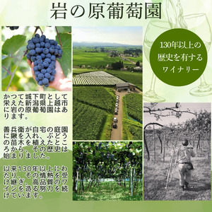 ワイン サクラアワード2024 銀賞 岩の原ワイン 善 赤 1本 720ml 最短3日で発送